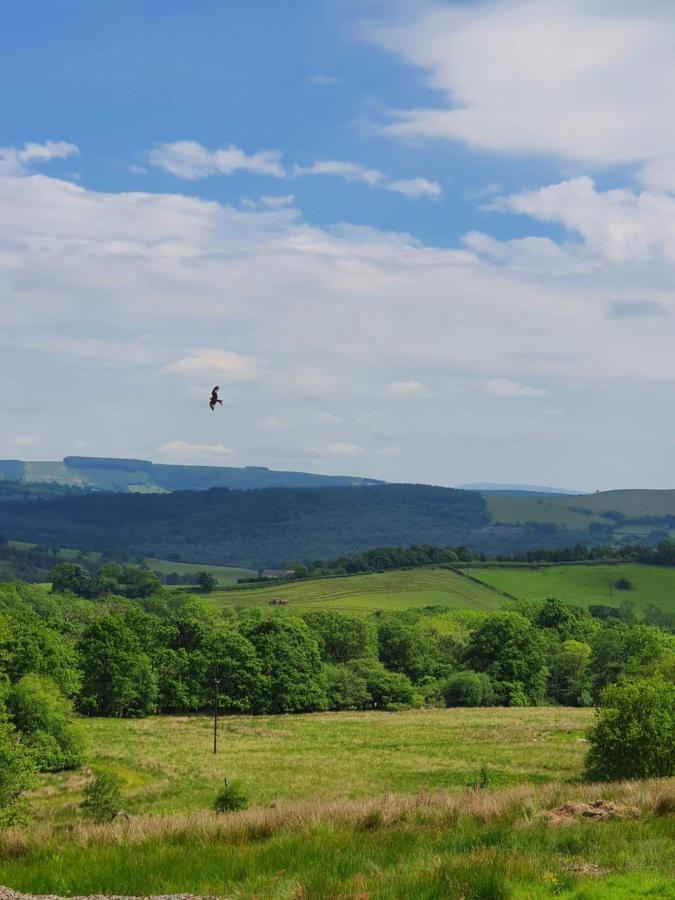 Hotel Calon Y Goedwig Glamping Llandovery Exterior foto