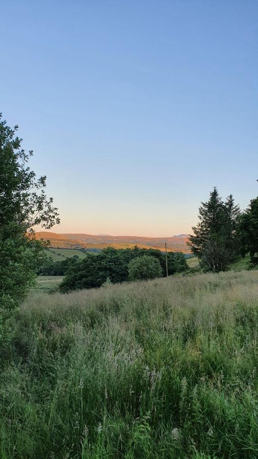 Hotel Calon Y Goedwig Glamping Llandovery Exterior foto