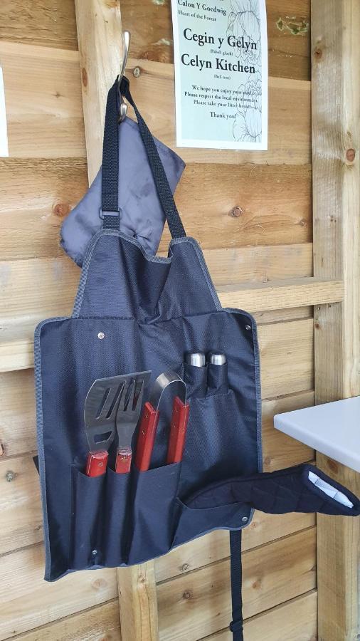 Hotel Calon Y Goedwig Glamping Llandovery Exterior foto