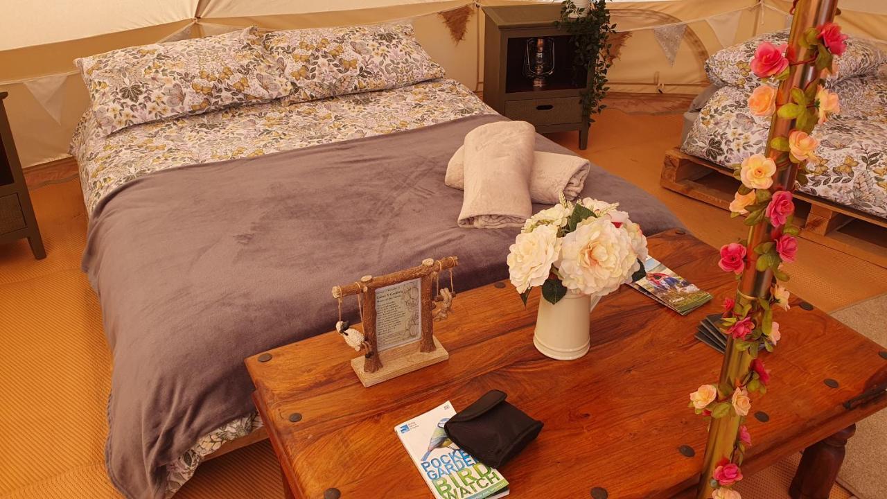 Hotel Calon Y Goedwig Glamping Llandovery Exterior foto