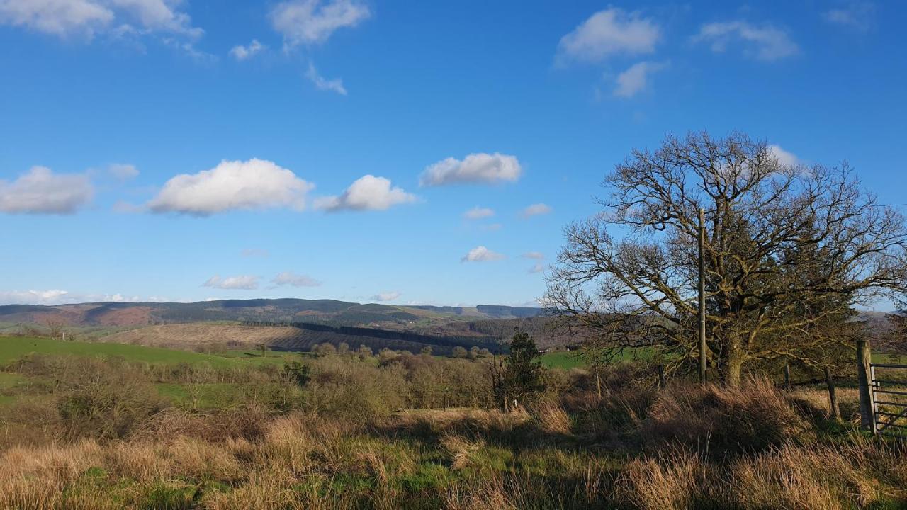 Hotel Calon Y Goedwig Glamping Llandovery Exterior foto