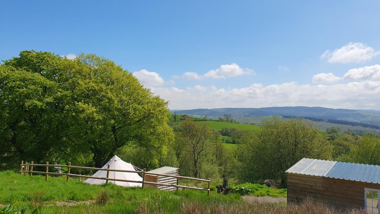 Hotel Calon Y Goedwig Glamping Llandovery Exterior foto