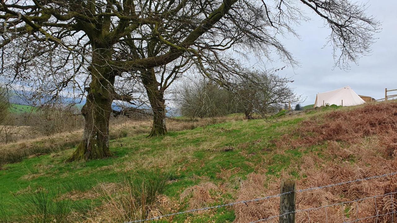 Hotel Calon Y Goedwig Glamping Llandovery Exterior foto