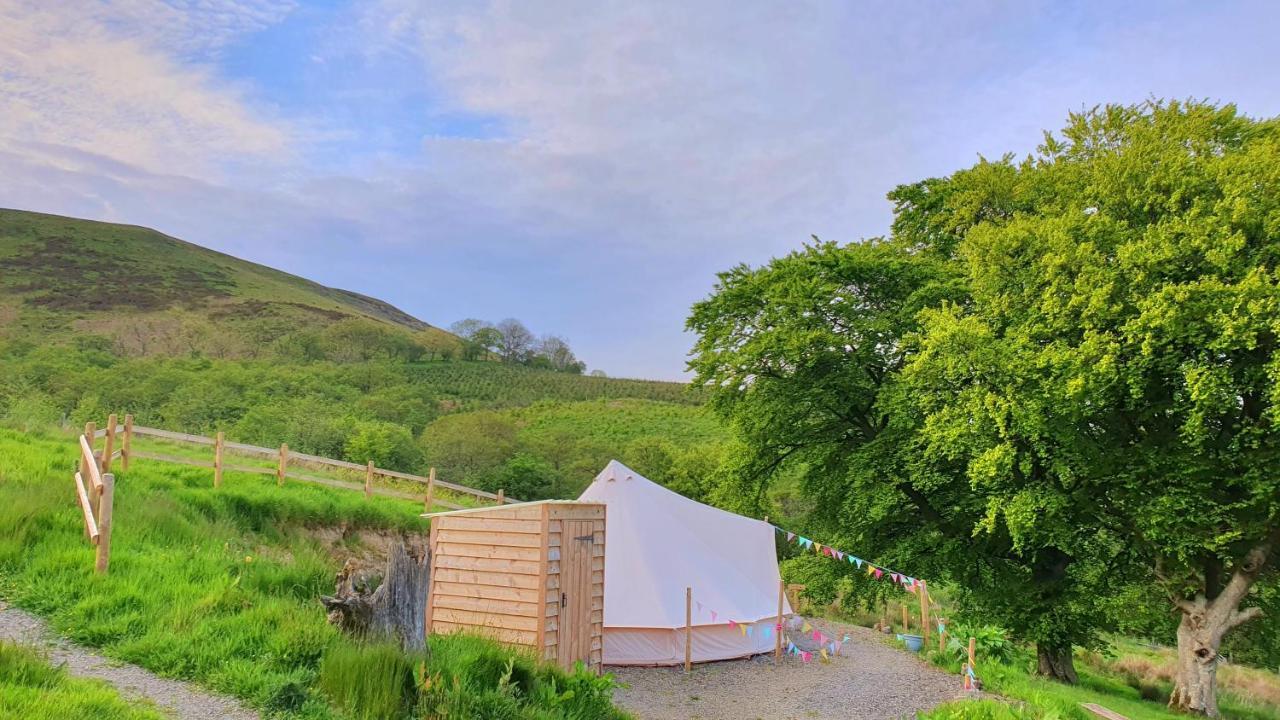 Hotel Calon Y Goedwig Glamping Llandovery Exterior foto