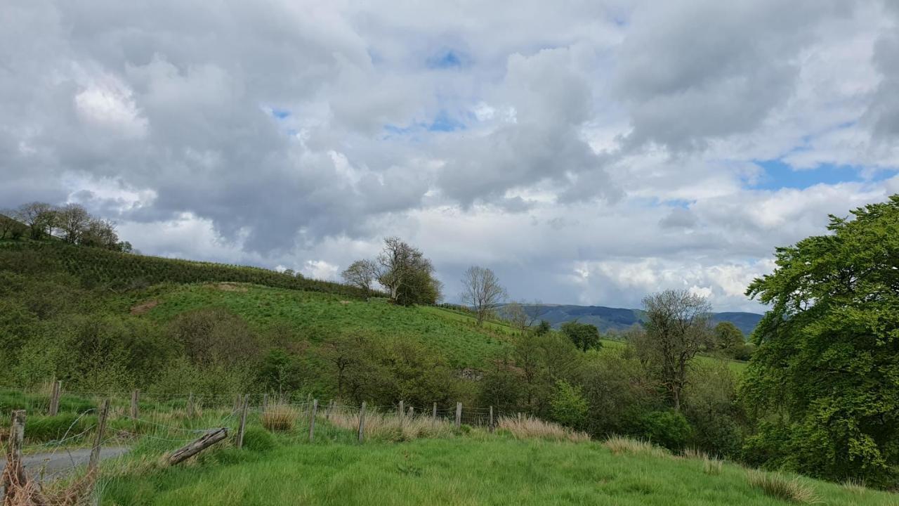 Hotel Calon Y Goedwig Glamping Llandovery Exterior foto