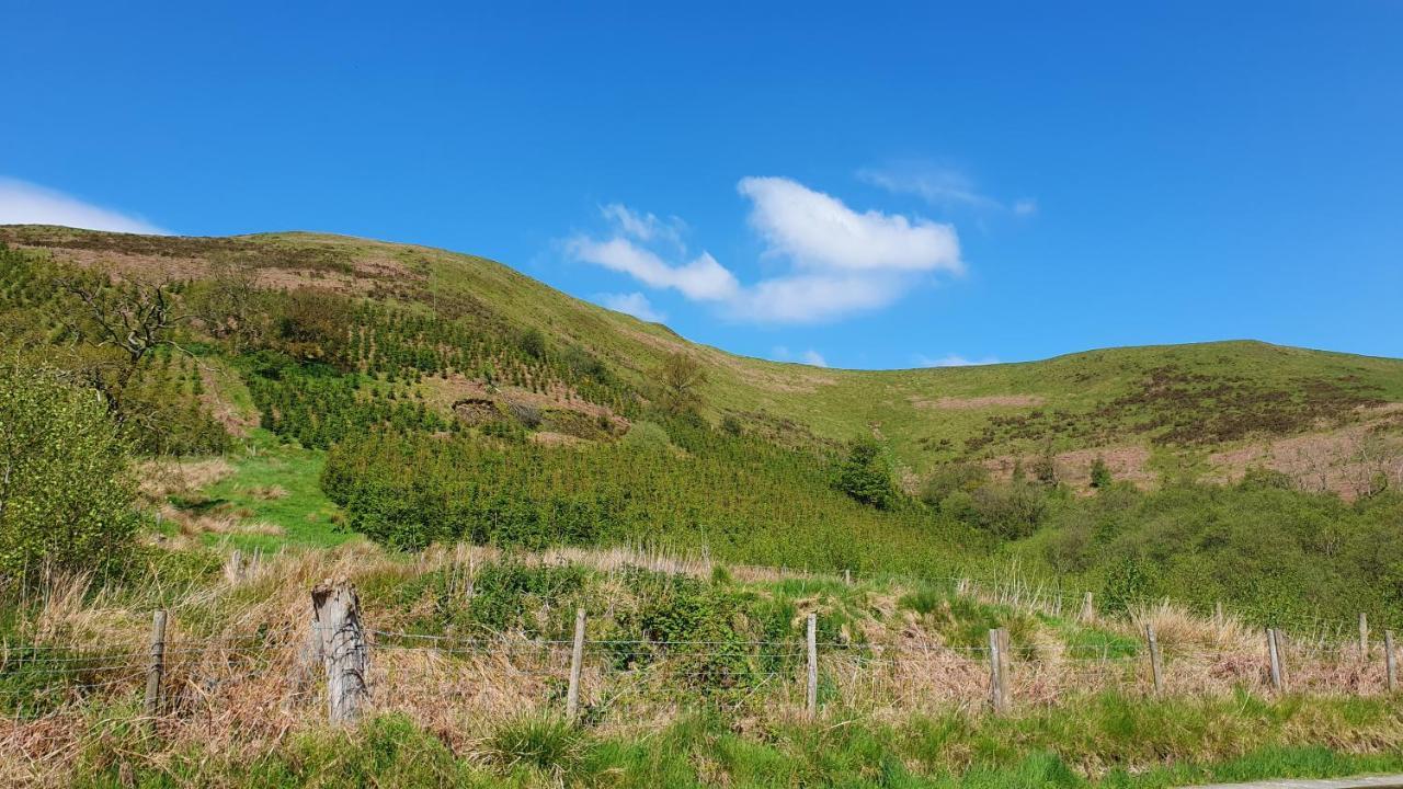 Hotel Calon Y Goedwig Glamping Llandovery Exterior foto