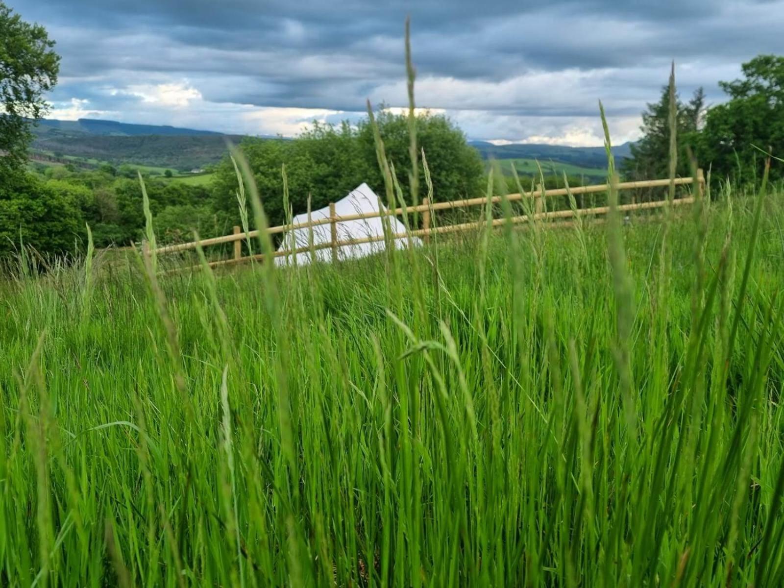 Hotel Calon Y Goedwig Glamping Llandovery Exterior foto